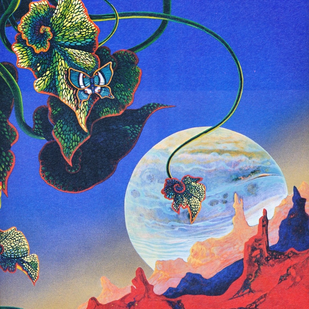 Meet your Posher, Jacklyn